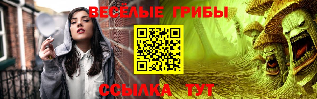 Галлюциногенные грибы мицелий  Псилоцибиновые грибы MAGIC MUSHROOMS  Ишимбай  Вход с VPN 